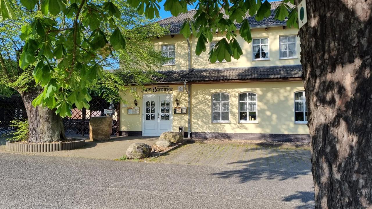 Wirtshaus & Pension "Zum Hammer" Neustadt  Екстериор снимка